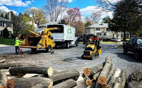 Best Tree Risk Assessment  in Scottsbluff, NE